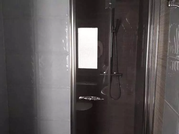 Fotos del hotel Aranda:  8