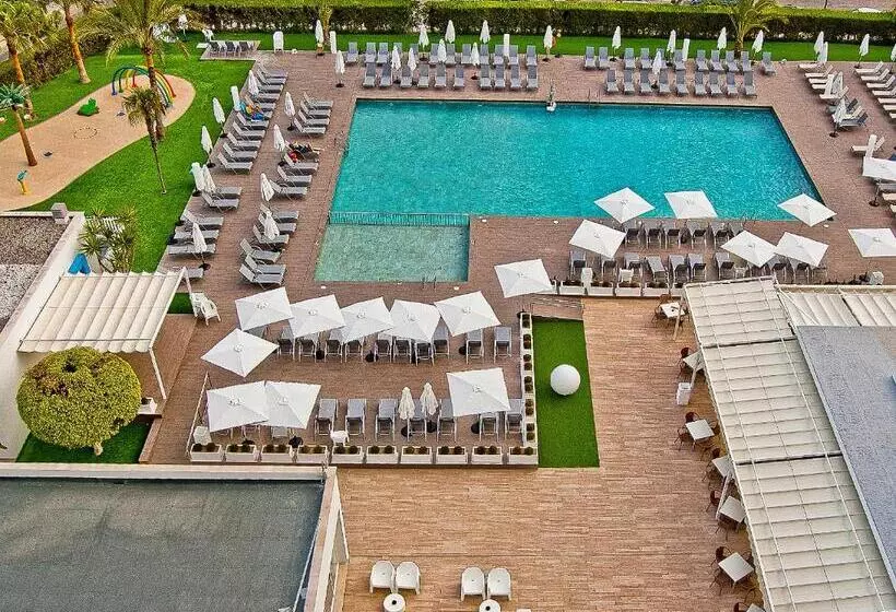 Fotos del hotel BQ Delfín Azul:  11