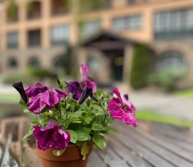 Fotos del hotel Sant Bernat:  3