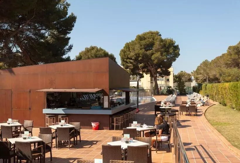 Fotos del hotel Timor:  17