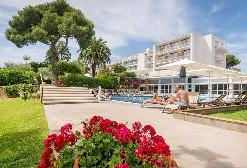 Fotos del hotel Hotel Alga:  20