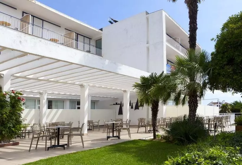 Fotos del hotel Hotel Alga:  24