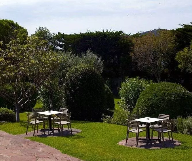 Fotos del hotel Hotel Alga:  22