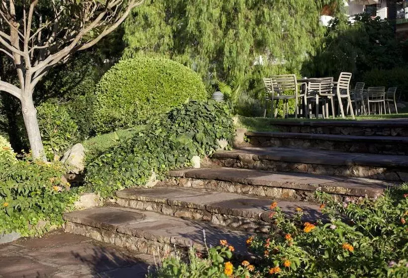 Fotos del hotel Hotel Alga:  25