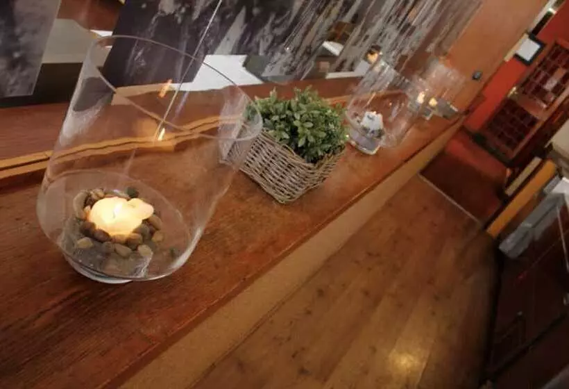 Fotos del hotel Edelweiss Candanchú:  12