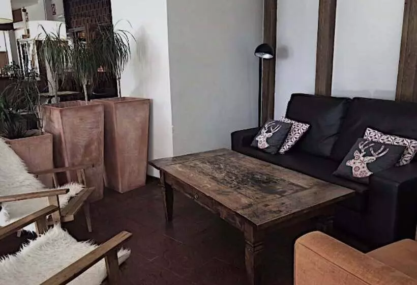 Fotos del hotel Edelweiss Candanchú:  1