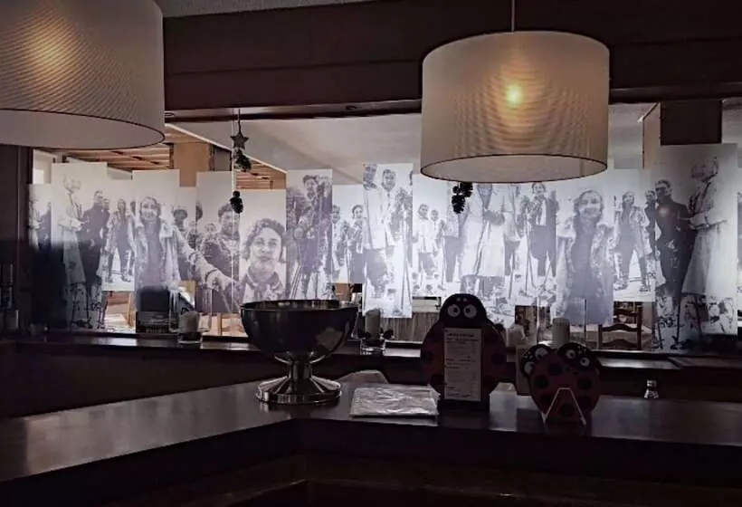 Fotos del hotel Edelweiss Candanchú:  3