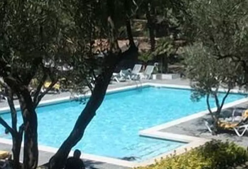 Fotos del hotel Playa Sol:  13