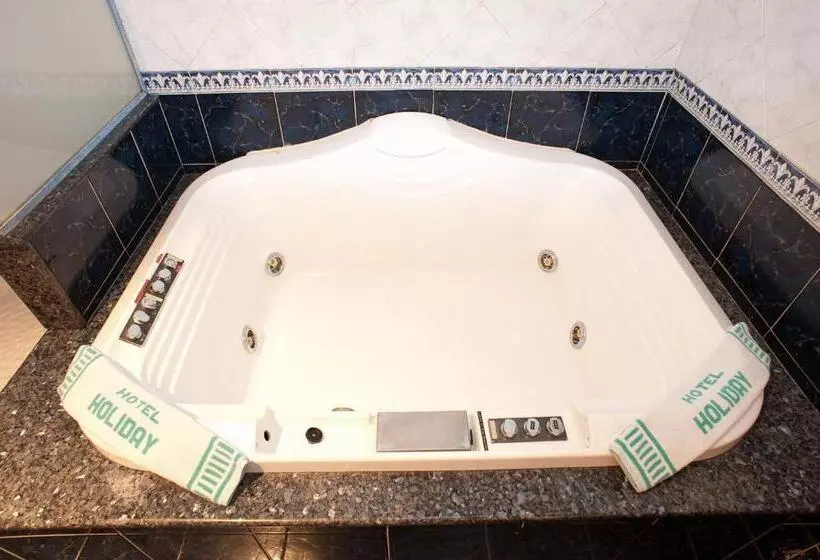 Fotos del hotel Holiday:  8