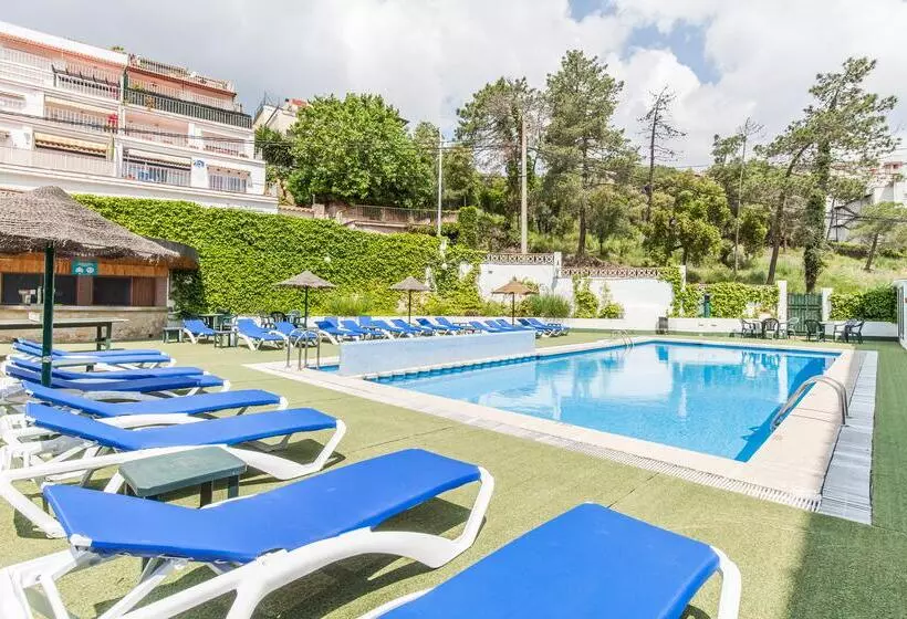 Fotos del hotel Blue Sea Montevista Hawai:  21