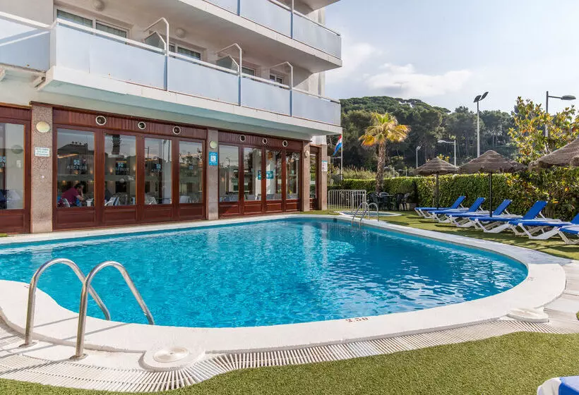 Fotos del hotel Blue Sea Montevista Hawai:  10