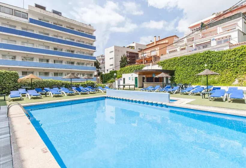 Fotos del hotel Blue Sea Montevista Hawai:  24