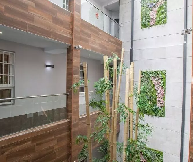 Fotos del hotel Don Paco:  15