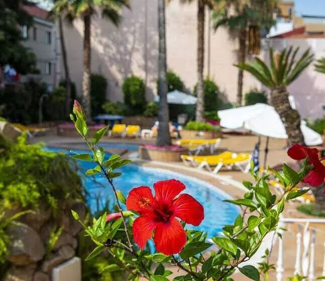 Fotos del hotel Guitart Rosa  Adults Only:  14