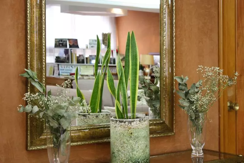 Fotos del hotel Hospedium Castilla:  41