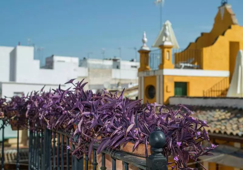 Fotos del hotel Las Casas De La Judería:  20