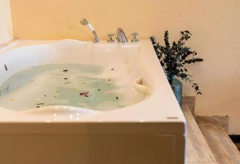 Fotos del hotel Roger De Flor Seleqtta:  21