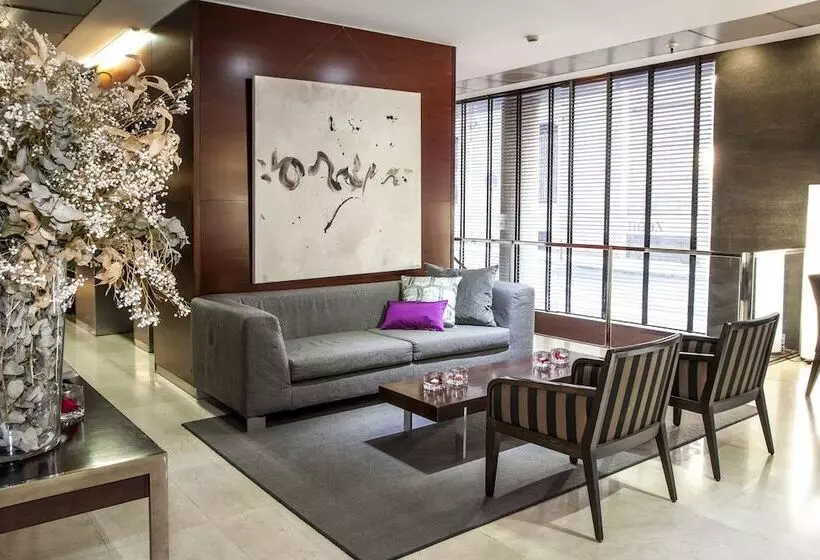 Zenit Don Yo Zenit Don Yo