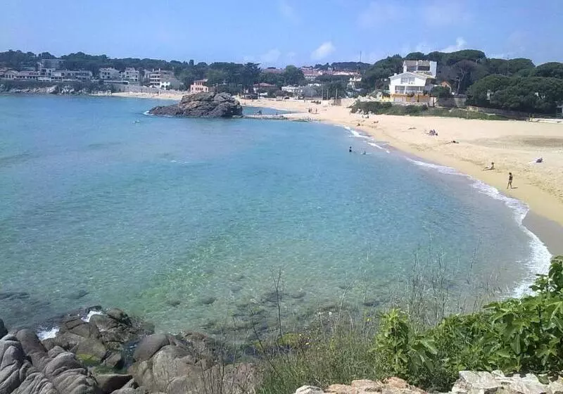 Fotos del hotel Ancora:  14