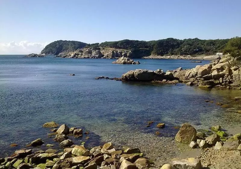 Fotos del hotel Ancora:  8