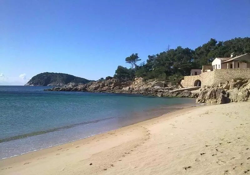 Fotos del hotel Ancora:  17