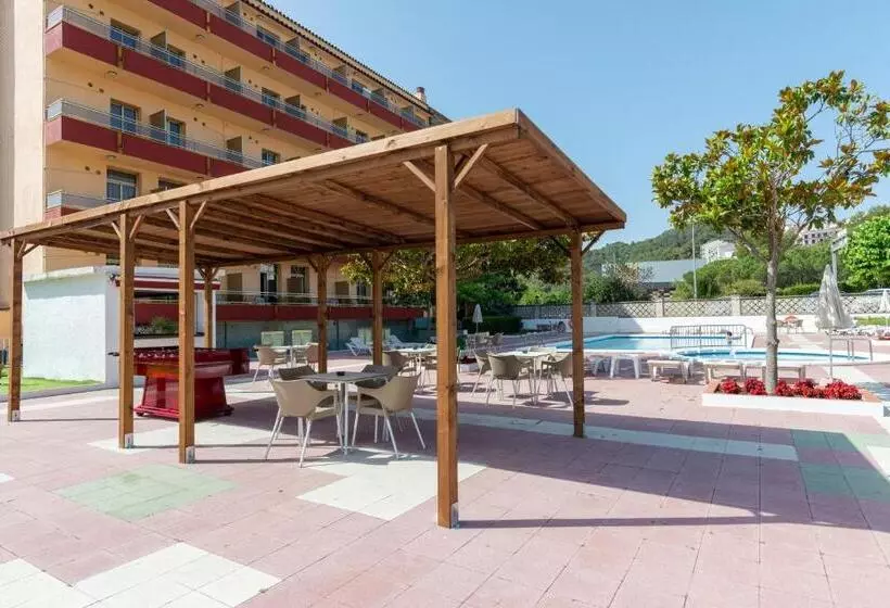 Fotos del hotel Continental:  9