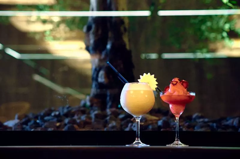 Fotos del hotel Delfín:  23