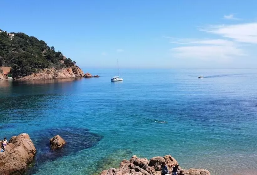 Fotos del hotel Hostalillo:  15