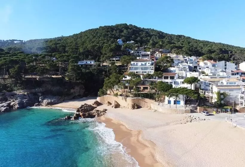 Fotos del hotel Hostalillo:  12