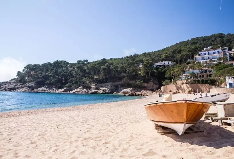 Fotos del hotel Hostalillo:  18