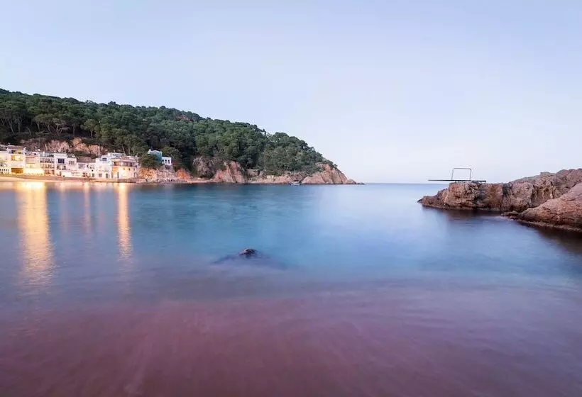 Fotos del hotel Hostalillo:  17