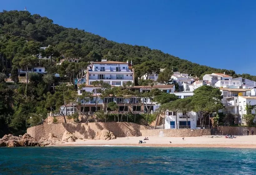 Fotos del hotel Hostalillo:  19