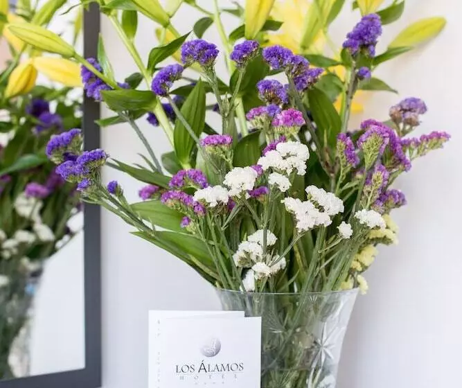 Fotos del hotel Los Álamos:  7