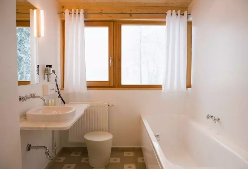 Fotos del hotel Alpine Spa Hotel Haus Hirt:  7