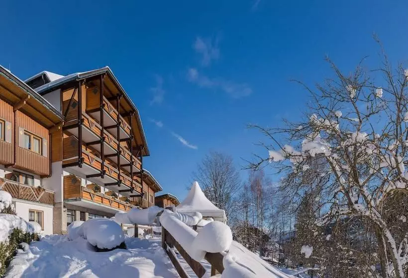 Fotos del hotel Aparthotel Ferienalm Schladming:  21