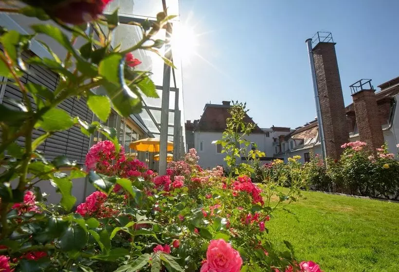 Fotos del hotel Gollner:  12