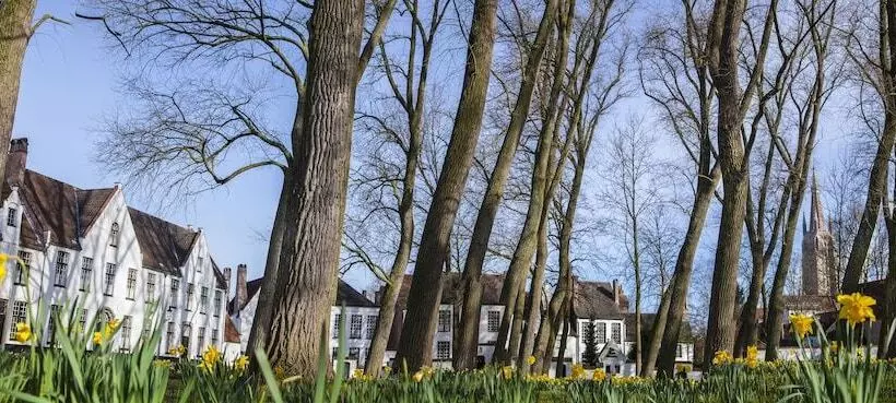 Fotos del hotel Navarra Brugge:  10