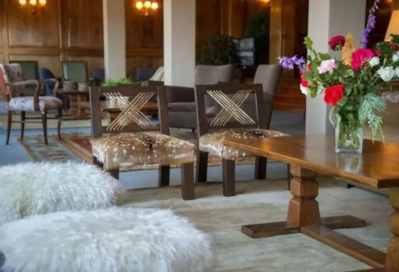 Fotos del hotel Tres Reyes:  12