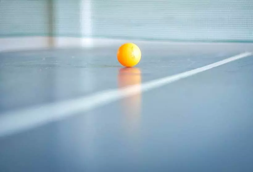 Fotos del hotel Dom Pedro I Palace:  10