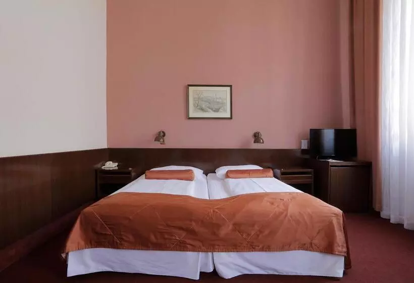 Fotos del hotel Slavia:  10