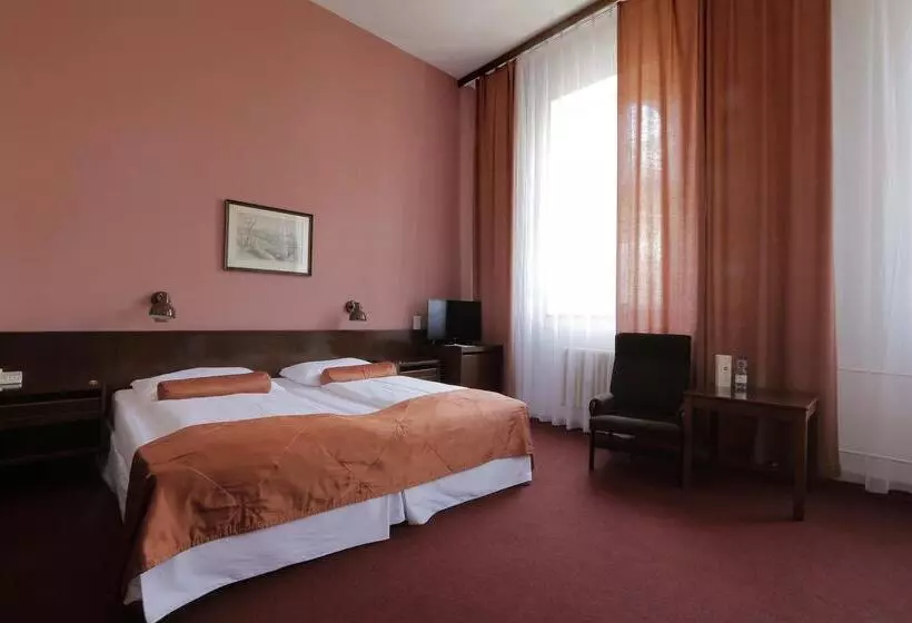 Fotos del hotel Slavia:  16