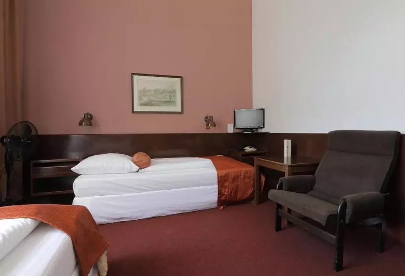 Fotos del hotel Slavia:  6