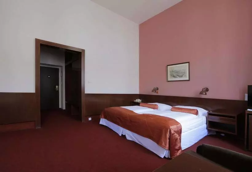 Fotos del hotel Slavia:  8