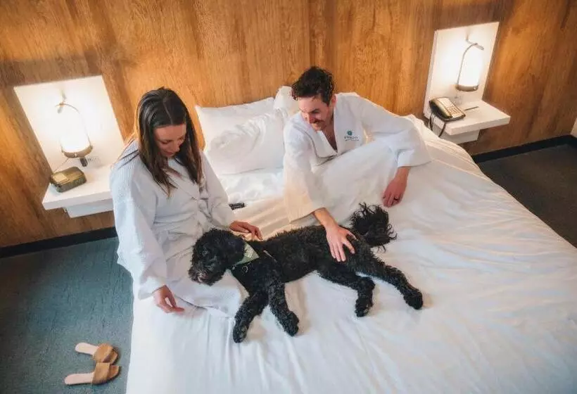 Fotos del hotel Aava Whistler:  23