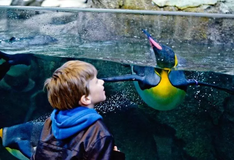 Fotos del hotel Delta S By Marriott Calgary Downtown:  16