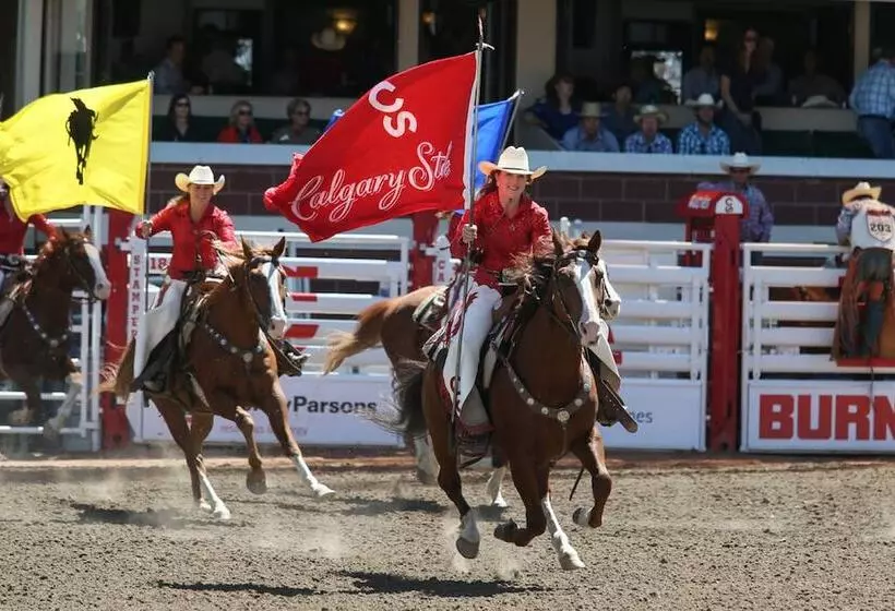 Fotos del hotel Delta S By Marriott Calgary Downtown:  6