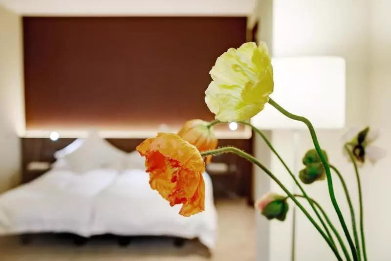 Fotos del hotel Du Commerce:  22