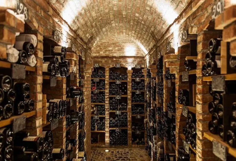 Fotos del hotel Grand Hotel Les Trois Rois:  6