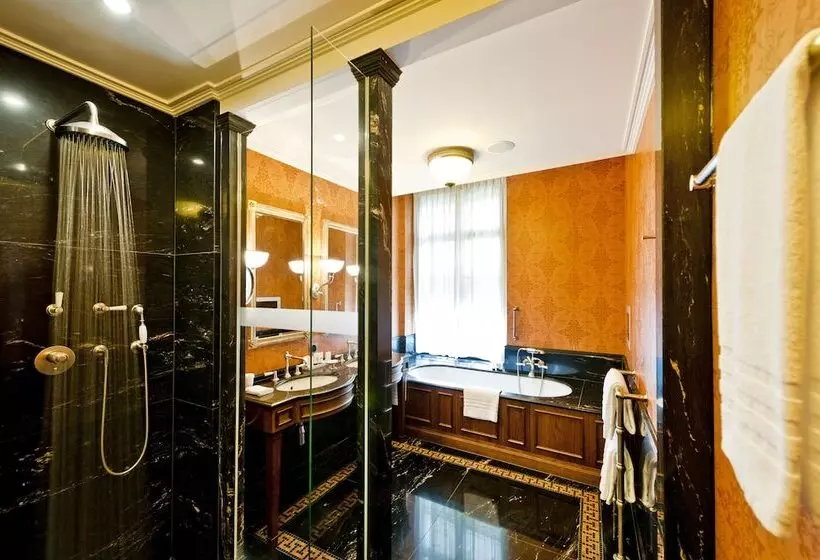 Fotos del hotel Grand Hotel Les Trois Rois:  5