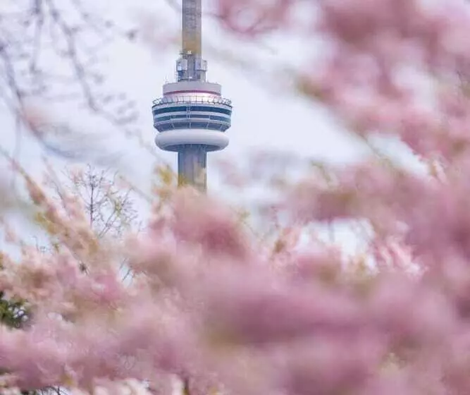 Fotos del hotel Park Hyatt Toronto:  8